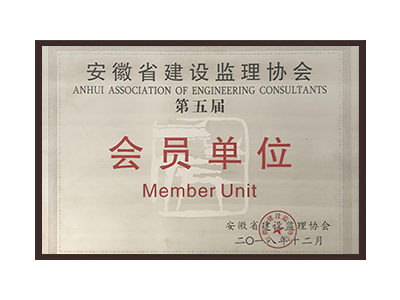 云南安徽省建设监理协会